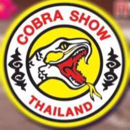 Cobra Show Thailand