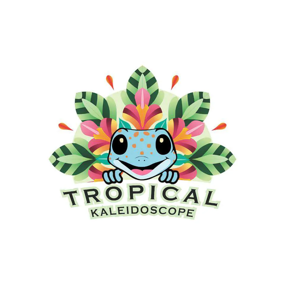 Tropical Kaleidoscop
