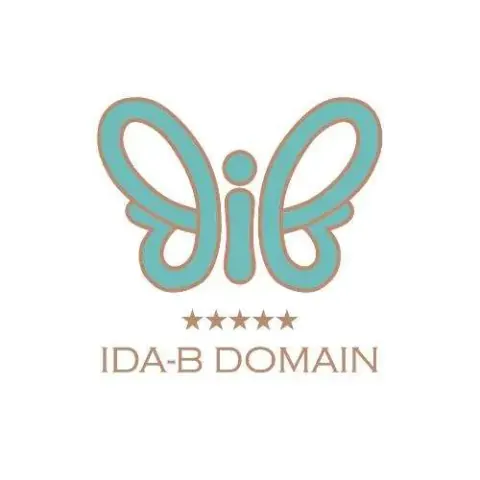 IDA B DOMAIN
