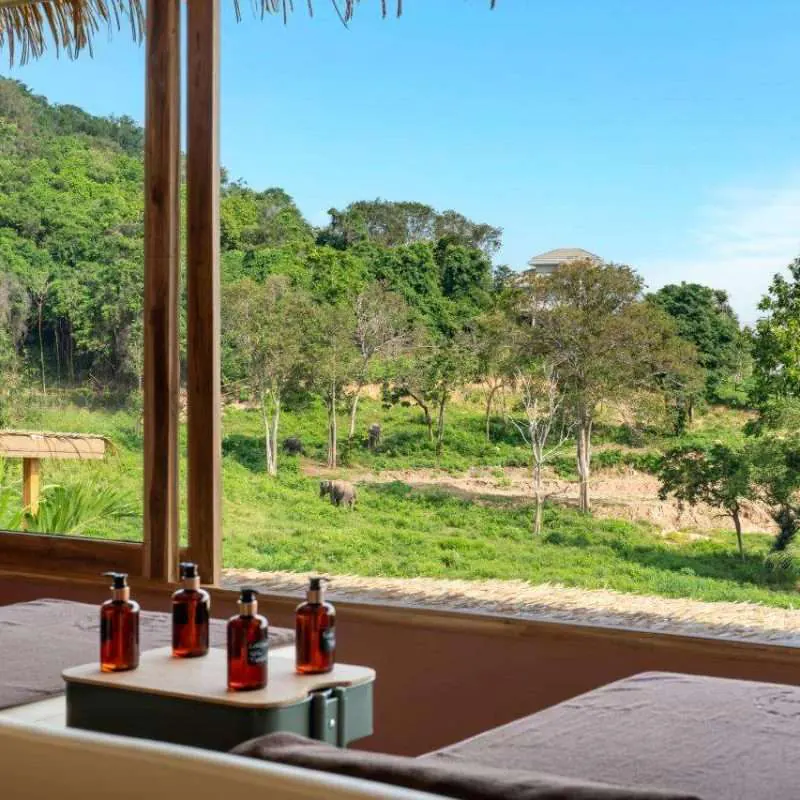 Wild Cottages Spa