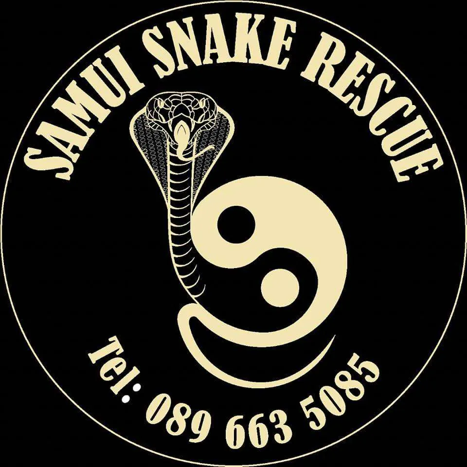 Samui Snake & Wildlife Rescue